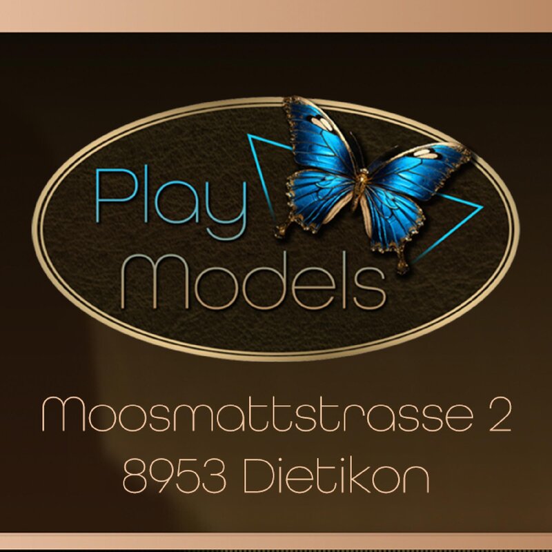 Playmodels Studio Dietikon Zurich